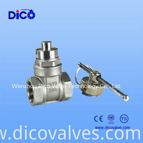 Water Teatment Stainless Steel Screw End Magnet Lock Gate Valve